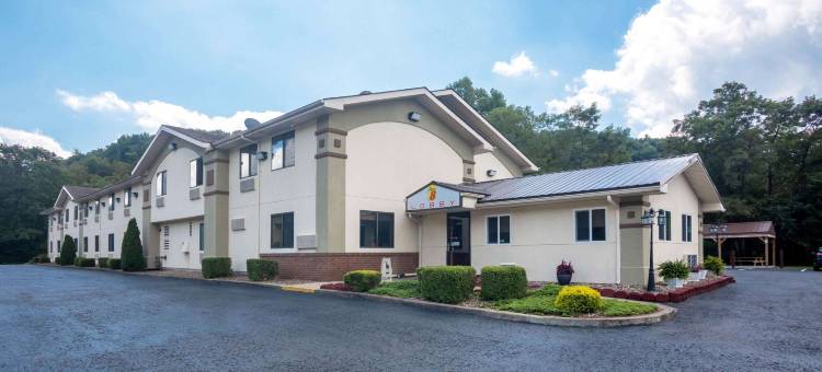 艾尔金斯速8酒店(Super 8 by Wyndham Elkins)图片