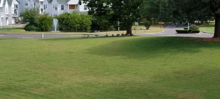 品质酒店(Quality Inn)图片