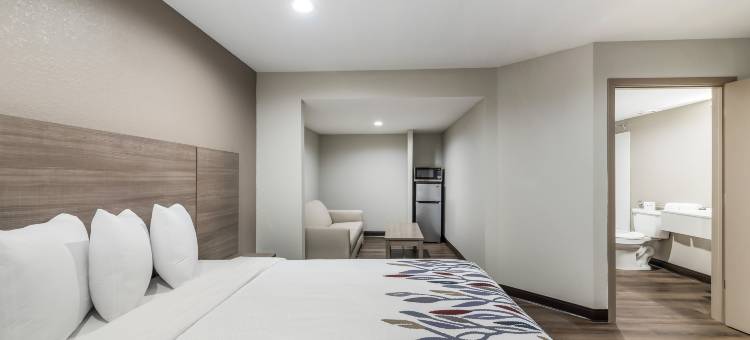 野生林品质酒店套房- 村庄(Quality Suites Wildwood - the Villages)图片
