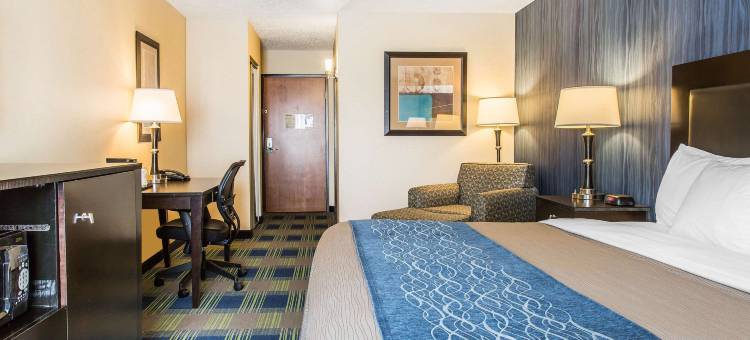 舒适套房酒店(Comfort Inn & Suites)图片