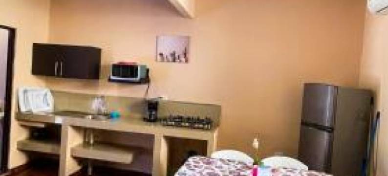 维斯塔埃尔莫萨海滩前酒店(Hotel Beachfront Vista Hermosa)图片