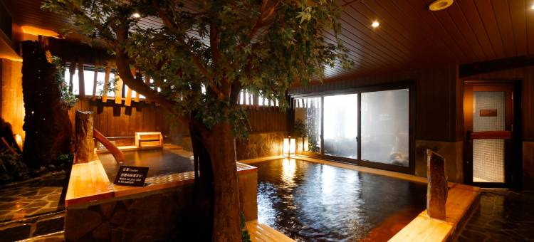 Dormy Inn酒店-富山天然温泉(Dormy Inn Toyama Natural Hot Spring)图片