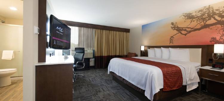 IHG假日酒店密尔沃基布鲁克菲尔德(Holiday Inn Brookfield - ​​MILWAUKEE)图片