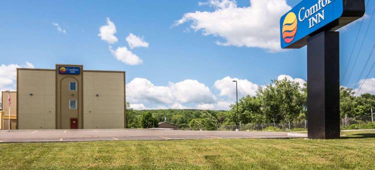 阿巴拉钦/宾汉顿西 17 号公路舒适酒店(Comfort Inn Apalachin / Binghamton W Route 17)图片