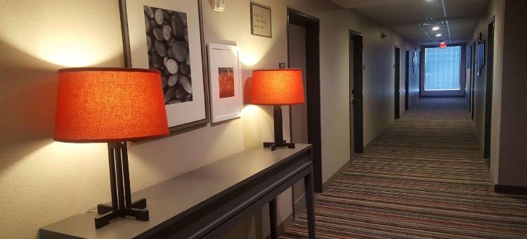 Ramada by Wyndham Houston Westchase(Ramada by Wyndham Houston Westchase)图片