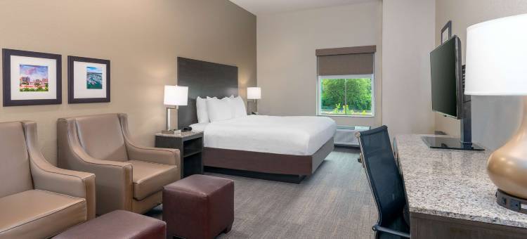 Ameniti Bay, BW Signature Collection图片