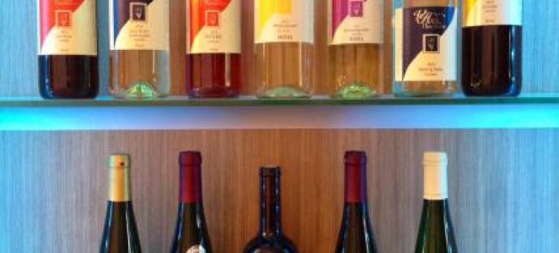 豪斯曼旅馆(Ferienweingut Villa Hausmann)图片