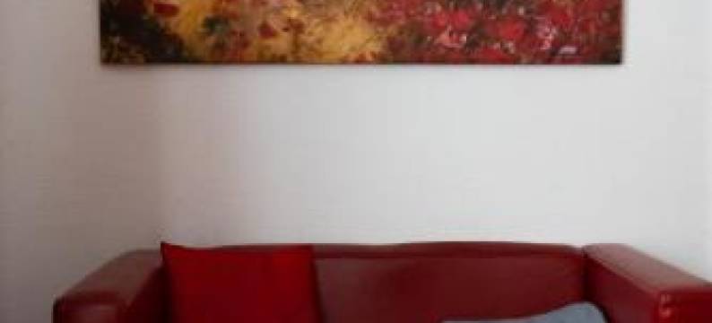 杜密兹公寓酒店(Aparthotel Domizil)图片