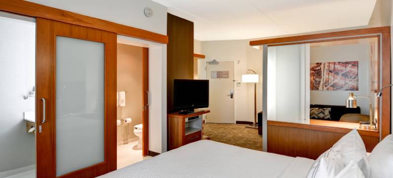 辛辛那提机场南万豪SpringHill酒店(SpringHill Suites Cincinnati Airport South)图片