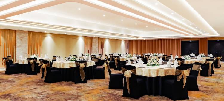 Lemon Tree Premier, Vijayawada图片