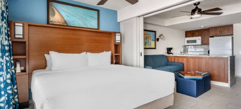 圣马丁火烈鸟海滩希尔顿分时度假俱乐部(Hilton Vacation Club Flamingo Beach St. Maarten)图片