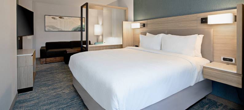 万豪Valencia SpringHill套房(SpringHill Suites Valencia)图片