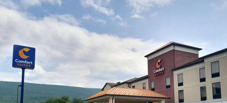 舒适套房酒店(Comfort Suites)图片