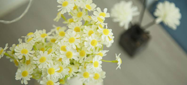 熙和凡尘公寓(春栖南路分店)图片