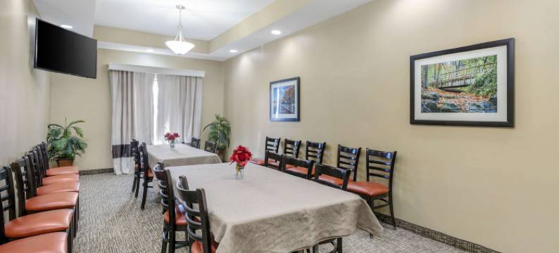 拉格兰奇舒适酒店及套房 - 路易斯维尔地区(Comfort Inn & Suites la Grange - Louisville Area)图片