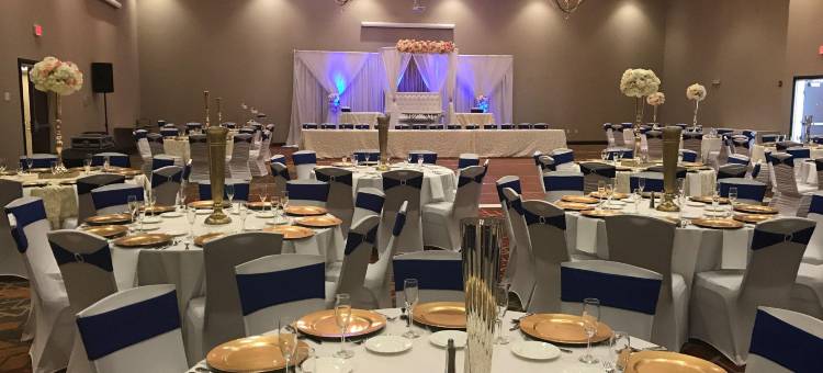 Holiday Inn 米沙沃卡(Holiday Inn Mishawaka - Conference Center)图片