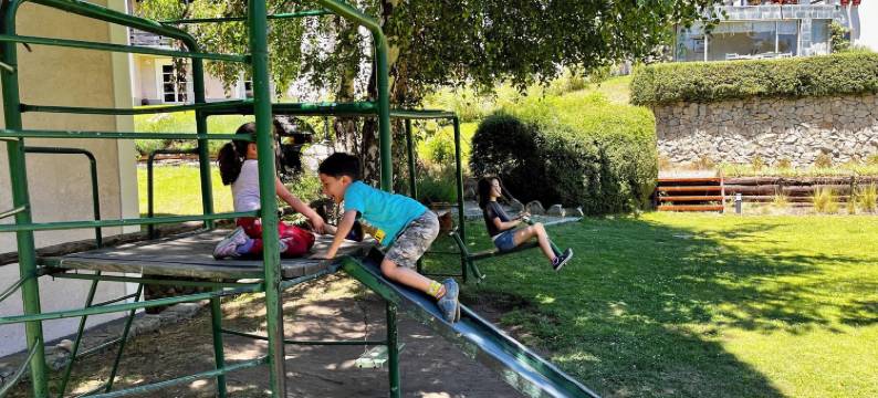 阿尔代亚安迪娜酒店与温泉(Aldea Andina Hotel&Spa)图片