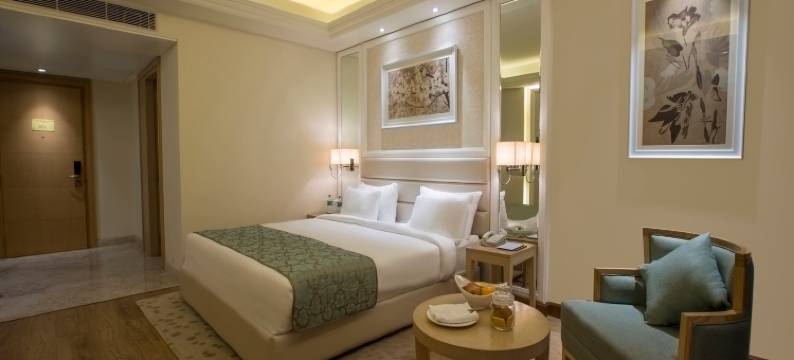 赖布尔辛哈尼亚萨罗瓦门廊酒店(Singhania Sarovar Portico)图片