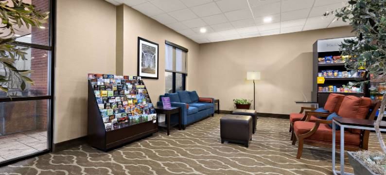 纳什维尔舒适套房酒店(Comfort Suites)图片