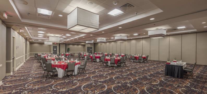 Holiday Inn 奥斯汀城(Holiday Inn AUSTIN MIDTOWN by IHG)图片