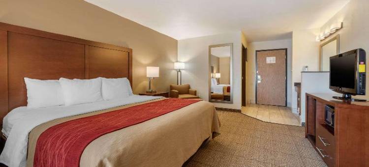 舒适酒店(Comfort Inn Limon)图片
