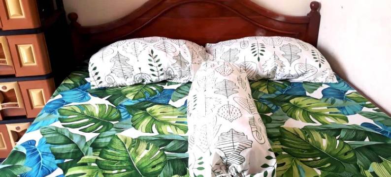 塞拉拉斯伊斯兰旅馆(Selaras Kost Syariah)图片