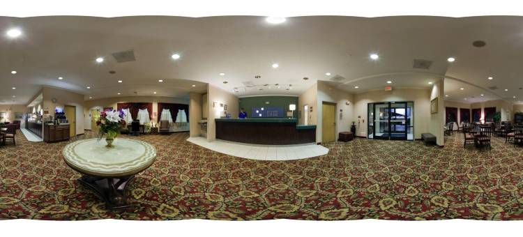 大都市智选假日酒店(Holiday Inn Express Metropolis)图片