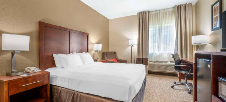 舒适酒店弗里蒙特(Comfort Inn Fremont)图片