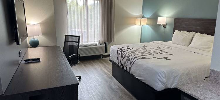 派因维尔 - 亚历山卓舒眠套房酒店(Sleep Inn & Suites Pineville - Alexandria)图片