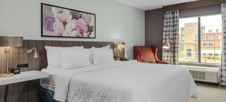 底特律尤蒂卡希尔顿花园旅馆(Hilton Garden Inn Detroit Utica)图片