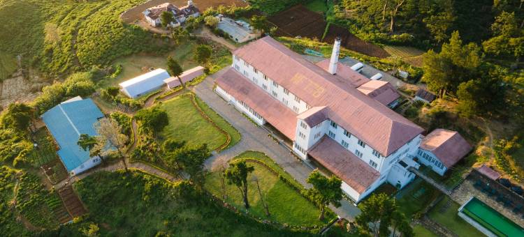 茶叶体验工厂酒店(Tea and Experience Factory - Thema Collection)图片