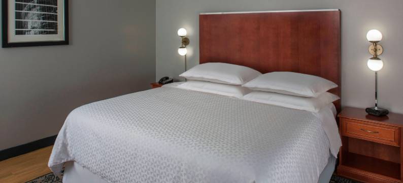 休斯顿霍比机场福朋喜来登酒店(Four Points by Sheraton Houston Hobby Airport)图片