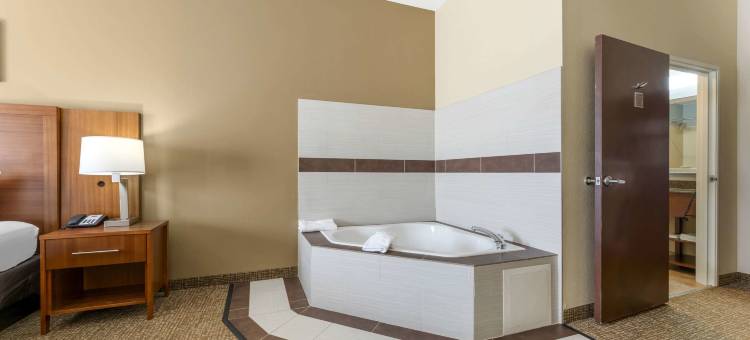 波特舒适套房酒店 - 近印第安纳沙丘(Comfort Inn & Suites Porter Near Indiana Dunes)图片