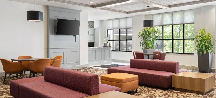 布卢明顿希尔顿花园酒店(Hilton Garden Inn Bloomington)图片