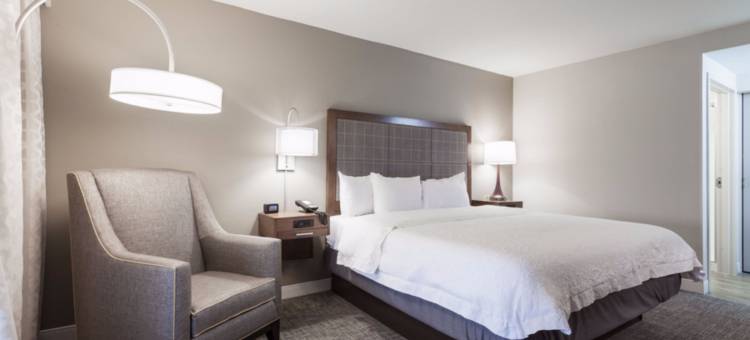 达拉斯DFW机场北葡萄藤欢朋套房酒店(Hampton Inn & Suites Dallas-DFW Airport N/Grapevine)图片