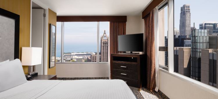 芝加哥中心壮丽大道Homewood Suites by Hilton(Homewood Suites by Hilton Chicago Downtown/Magnificent Mile)图片