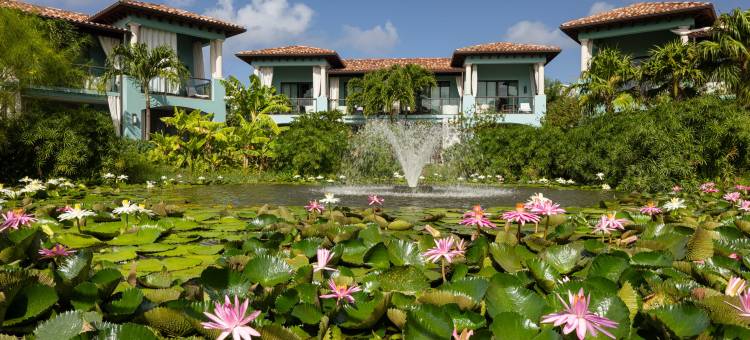 桑德尔斯格瑞那达酒店 - 全包式 - 仅供夫妻情侣入住(Sandals Grenada All Inclusive - Couples Only)图片