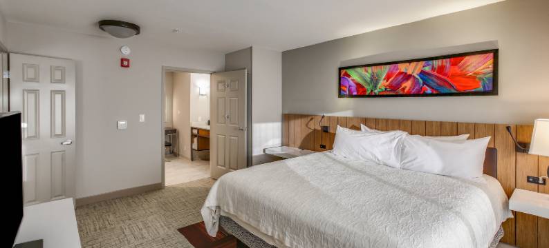 埃姆斯希尔顿花园酒店(Hilton Garden Inn Ames)图片