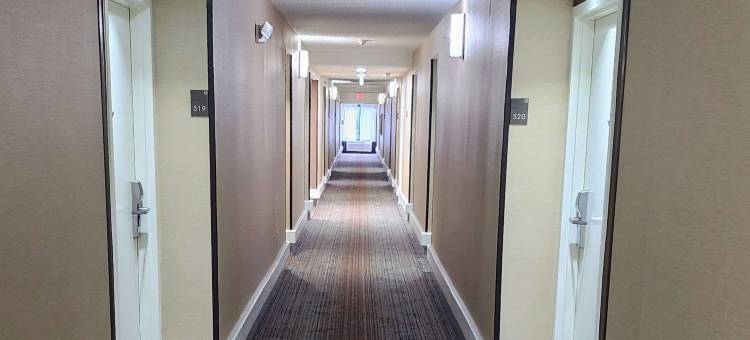 舒适酒店-彭沙科拉大学区(Comfort Inn Pensacola - University Area)图片