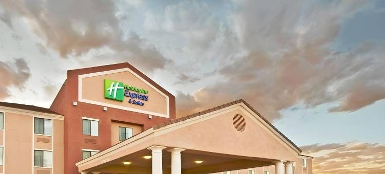 威尔科克斯智选假日套房酒店(Holiday Inn Express & Suites Willcox)图片