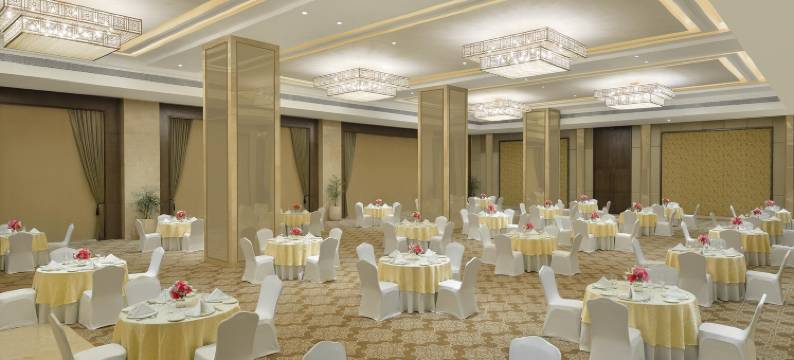 塔吉天际线艾哈迈达巴德酒店(Taj Skyline Ahmedabad)图片