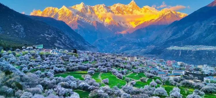 索松山居(索松店)图片