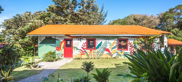 Socialtel 蒙特贝尔德(Socialtel Monteverde - Formerly Selina Monteverde)图片