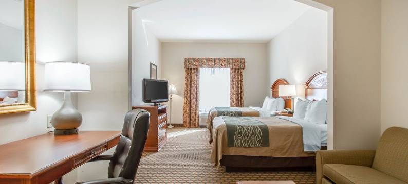 诺曼大学附近舒适套房酒店(Comfort Inn & Suites Norman Near University)图片