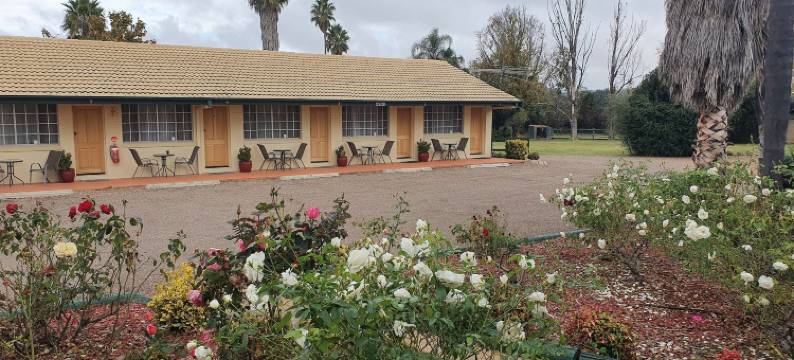 阿斯顿汽车旅馆 - 塔姆沃思(The Aston Motel Tamworth)图片