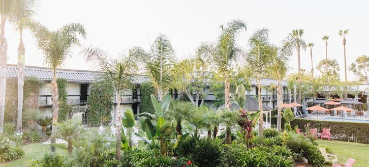 棕榈树花园酒店(Palm Garden Hotel)图片