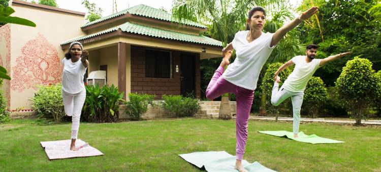 橄榄度假村(Olive Resort - Sillari Pench)图片