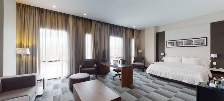 圣路易斯波托西希尔顿欢朋酒店(HAMPTON INN BY HILTON SAN LUIS POTOSI)图片