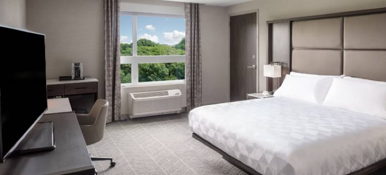 切尔西波士顿洛根机场假日酒店(Holiday Inn BOSTON LOGAN AIRPORT - CHELSEA by IHG)图片