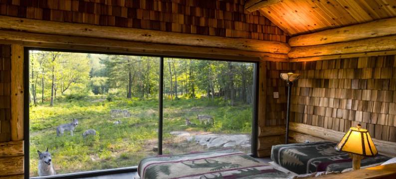 奥梅加公园(Parc Omega)图片